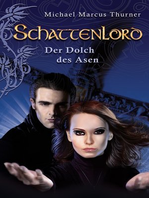 cover image of Schattenlord 13